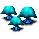 Aphelim Mushrooms